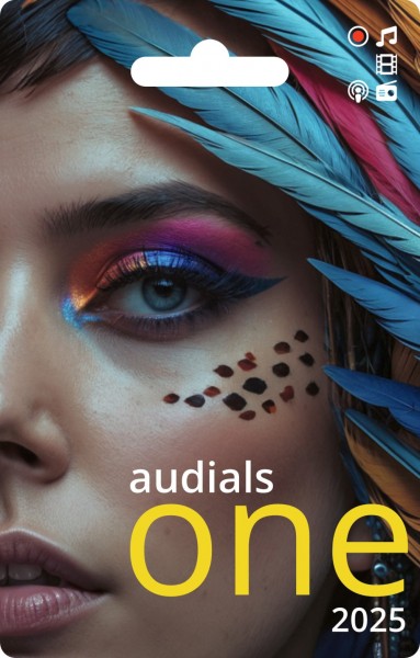 Audials One 2025, Vollversion, Dauerlizenz, Windows 10/11, Karte mit Produktkey